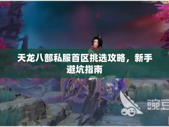 天龙八部私服首区挑选攻略，新手避坑指南