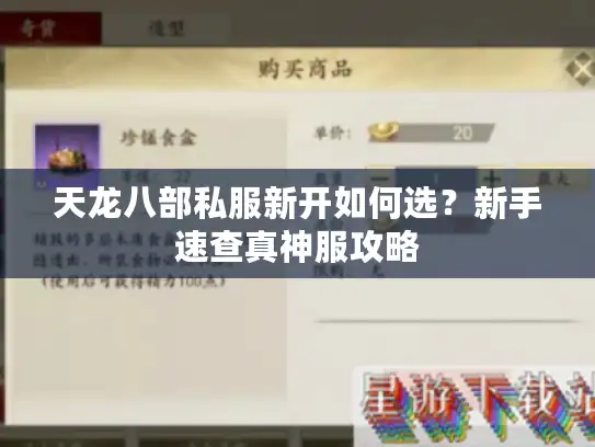 天龙八部私服新开如何选？新手速查真神服攻略
