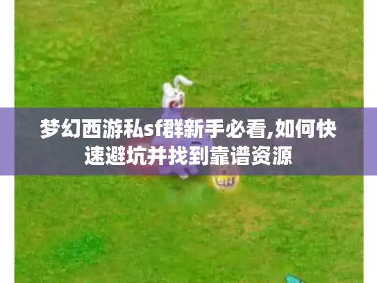 梦幻西游私sf群新手必看,如何快速避坑并找到靠谱资源