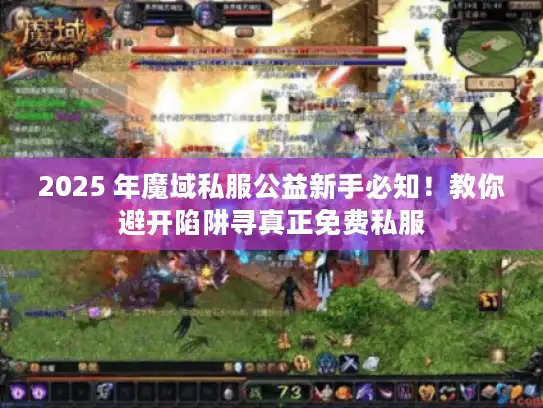 2025 年魔域私服公益新手必知！教你避开陷阱寻真正免费私服