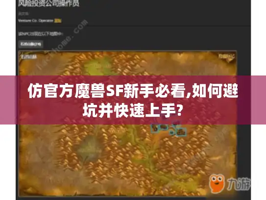 仿官方魔兽SF新手必看,如何避坑并快速上手?