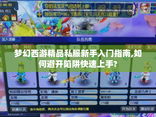 梦幻西游精品私服新手入门指南,如何避开陷阱快速上手? 梦幻西游精品私服新手入门指南,如何避开陷阱快速上手?