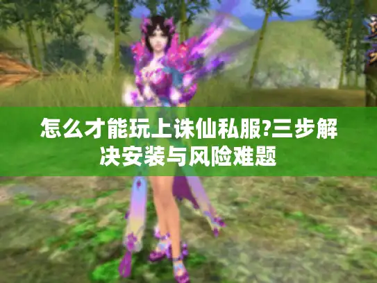 怎么才能玩上诛仙私服?三步解决安装与风险难题