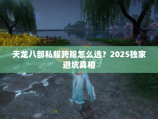 天龙八部私服跨服怎么选？2025独家避坑真相