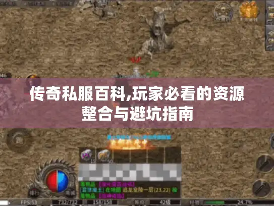 传奇私服百科,玩家必看的资源整合与避坑指南
