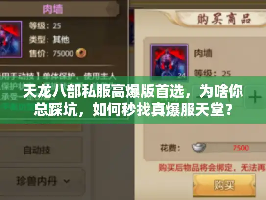 天龙八部私服高爆版首选,为啥你总踩坑,如何秒找真爆服天堂? 天龙八部私服高爆版首选,为啥你总踩坑,如何秒找真爆服天堂?
