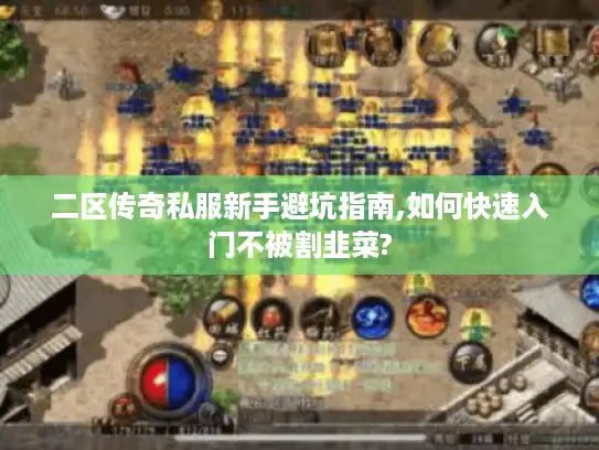 二区传奇私服新手避坑指南,如何快速入门不被割韭菜? 二区传奇私服新手避坑指南,如何快速入门不被割韭菜?