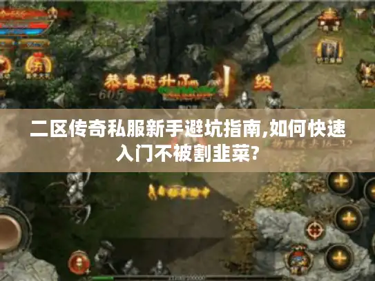 二区传奇私服新手避坑指南,如何快速入门不被割韭菜? 二区传奇私服新手避坑指南,如何快速入门不被割韭菜?