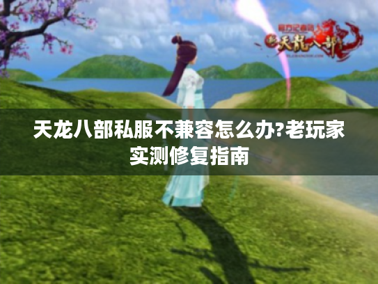 天龙八部私服不兼容怎么办?老玩家实测修复指南 天龙八部私服不兼容怎么办?老玩家实测修复指南