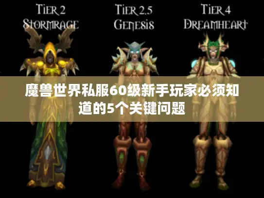 魔兽世界私服60级新手玩家必须知道的5个关键问题
