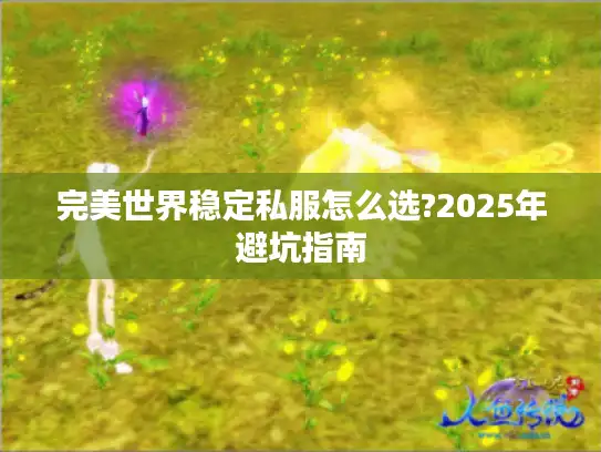 完美世界稳定私服怎么选?2025年避坑指南