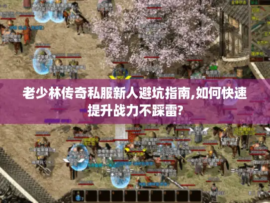 老少林传奇私服新人避坑指南,如何快速提升战力不踩雷?