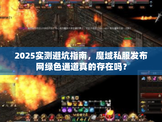 2025实测避坑指南，魔域私服发布网绿色通道真的存在吗？