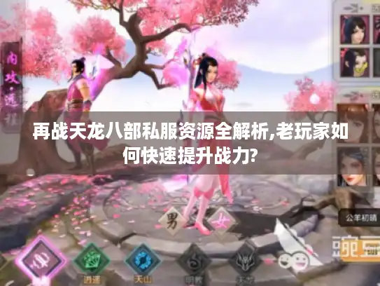 再战天龙八部私服资源全解析,老玩家如何快速提升战力? 再战天龙八部私服资源全解析,老玩家如何快速提升战力?