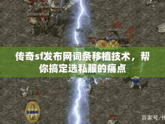 传奇sf发布网词条移植技术，帮你搞定选私服的痛点