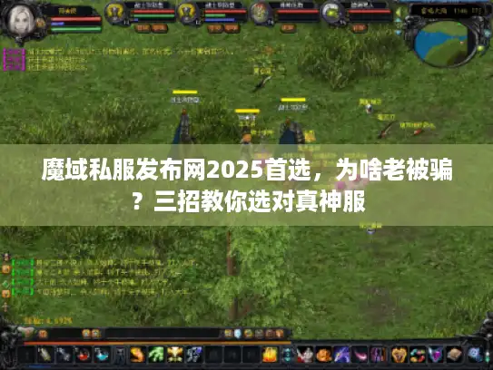 魔域私服发布网2025首选，为啥老被骗？三招教你选对真神服