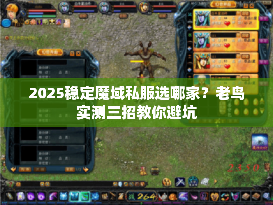 2025稳定魔域私服选哪家？老鸟实测三招教你避坑