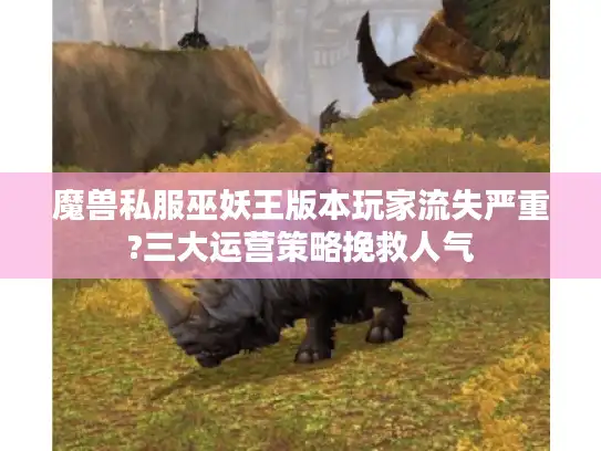 魔兽私服巫妖王版本玩家流失严重?三大运营策略挽救人气