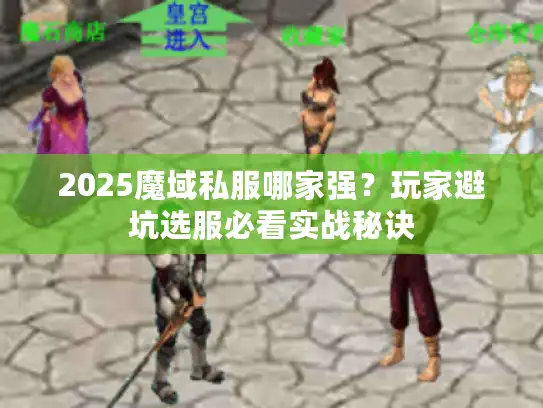 2025魔域私服哪家强？玩家避坑选服必看实战秘诀
