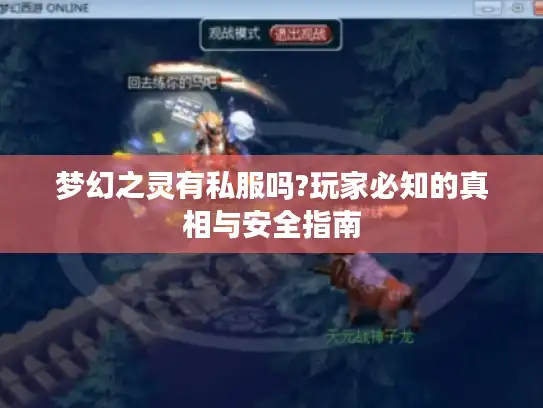 梦幻之灵有私服吗?玩家必知的真相与安全指南