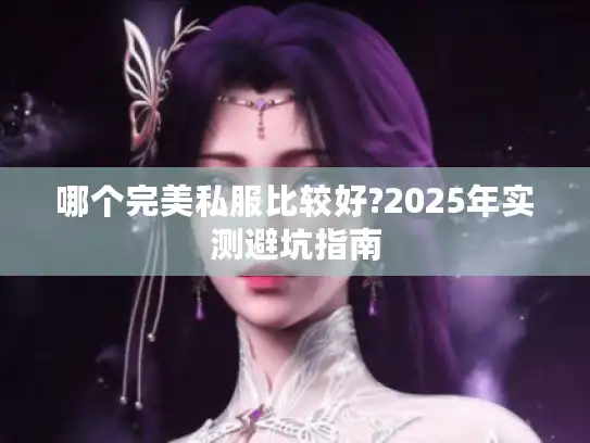 哪个完美私服比较好?2025年实测避坑指南