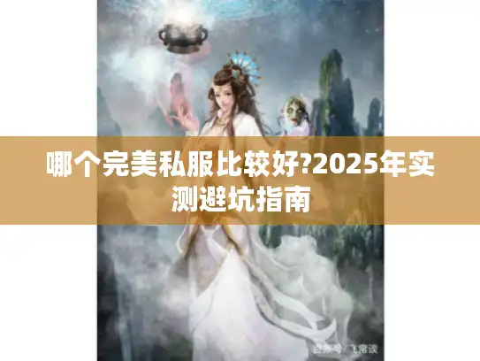 哪个完美私服比较好?2025年实测避坑指南