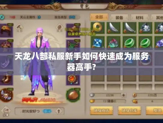 天龙八部私服新手如何快速成为服务器高手? 天龙八部私服新手如何快速成为服务器高手?
