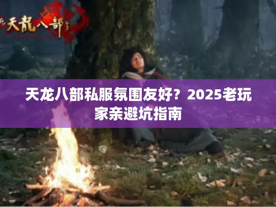 天龙八部私服氛围友好？2025老玩家亲避坑指南