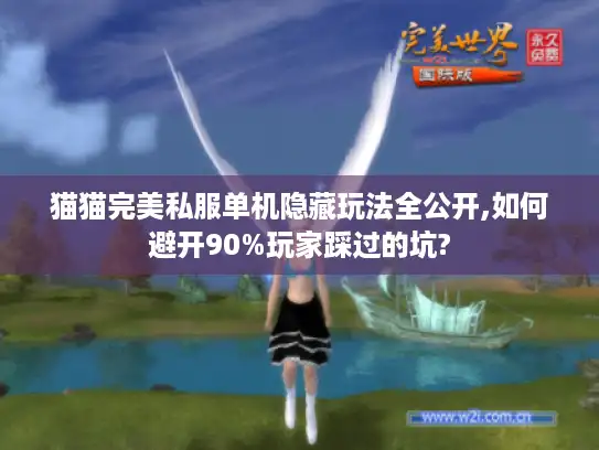 猫猫完美私服单机隐藏玩法全公开,如何避开90%玩家踩过的坑?