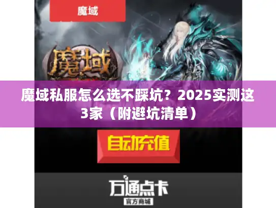 魔域私服怎么选不踩坑？2025实测这3家（附避坑清单）