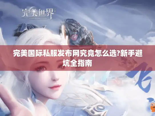 完美国际私服发布网究竟怎么选?新手避坑全指南