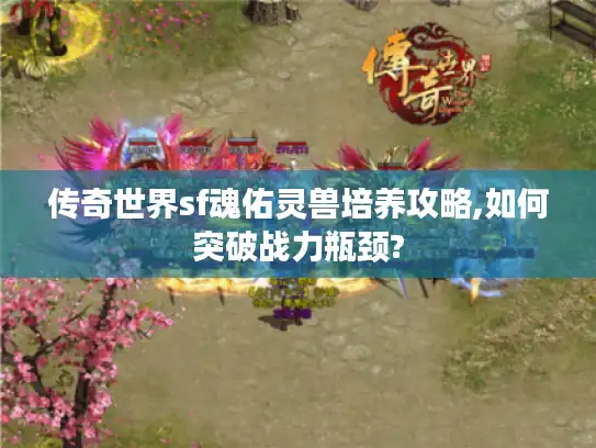 传奇世界sf魂佑灵兽培养攻略,如何突破战力瓶颈?