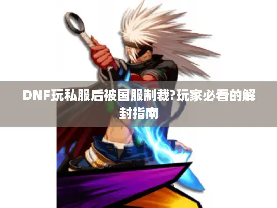 DNF玩私服后被国服制裁?玩家必看的解封指南 DNF玩私服后被国服制裁?玩家必看的解封指南