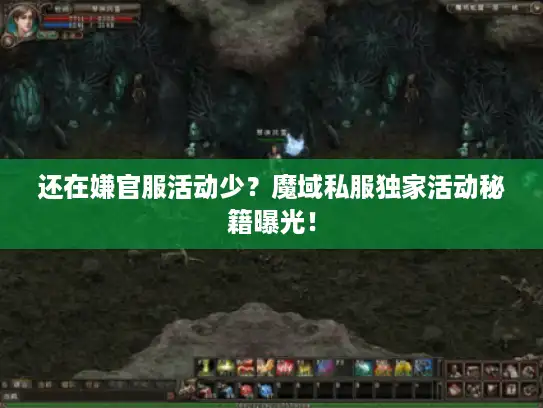 还在嫌官服活动少？魔域私服独家活动秘籍曝光！