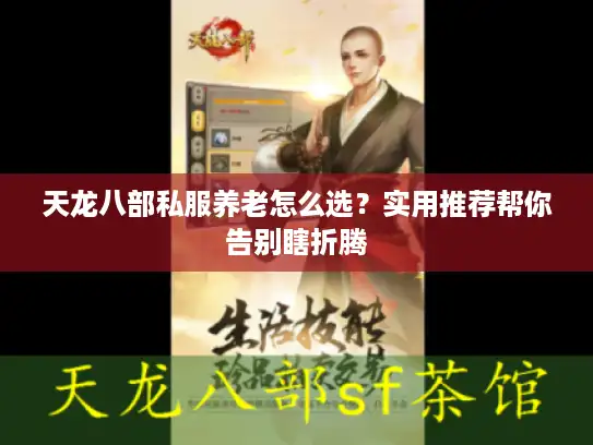 天龙八部私服养老怎么选？实用推荐帮你告别瞎折腾